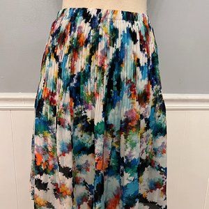 Multicolor Steam Pleated Skirt